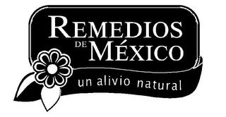 REMEDIOS DE MEXICO UN ALIVIO NATURAL