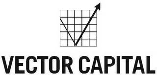 V VECTOR CAPITAL