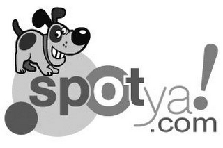 SPOTYA.COM!