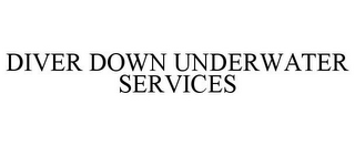 DIVER DOWN UNDERWATER SERVICES