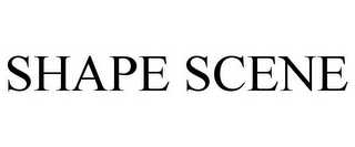 SHAPE SCENE