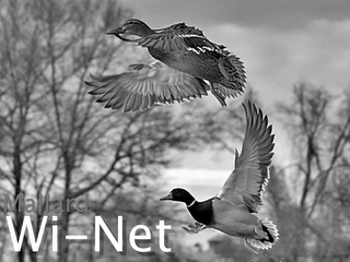 MALLARD WI-NET
