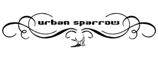 URBAN SPARROW