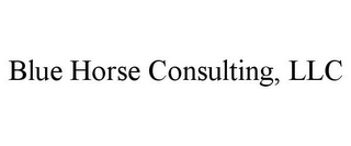 BLUE HORSE CONSULTING, LLC