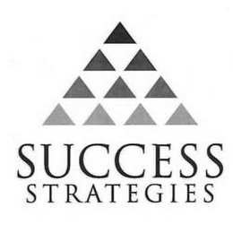 SUCCESS STRATEGIES