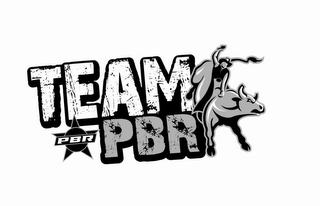 TEAM PBR