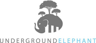 UNDERGROUND ELEPHANT