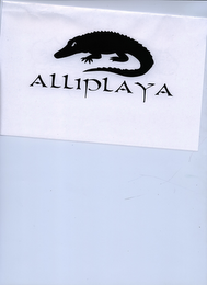 ALLIPLAYA