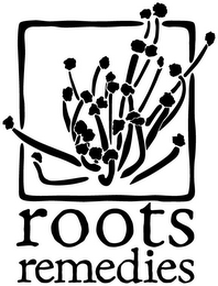 ROOTS REMEDIES