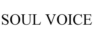 SOUL VOICE