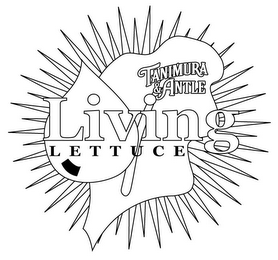 TANIMURA & ANTLE LIVING LETTUCE