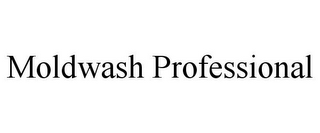 MOLDWASH PROFESSIONAL