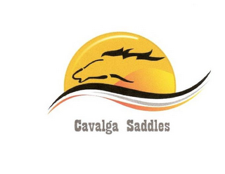 CAVALGA SADDLES