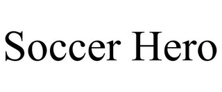 SOCCER HERO