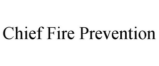 CHIEF FIRE PREVENTION