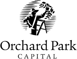 ORCHARD PARK CAPITAL