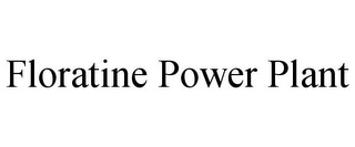 FLORATINE POWER PLANT