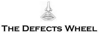 THE DEFECTS WHEEL