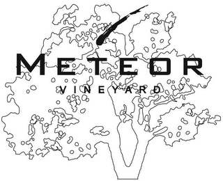 METEOR VINEYARD