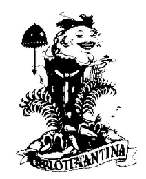CARLOTTA'S CANTINA