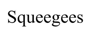 SQUEEGEES