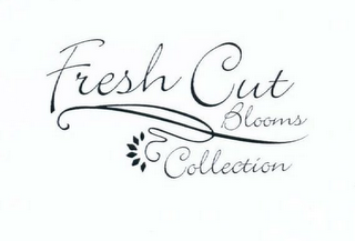 FRESH CUT BLOOMS COLLECTION