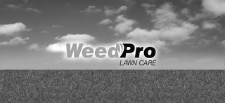 WEEDPRO LAWN CARE