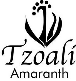 TZOALI AMARANTH