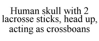 HUMAN SKULL WITH 2 LACROSSE STICKS, HEAD UP, ACTING AS CROSSBOANS