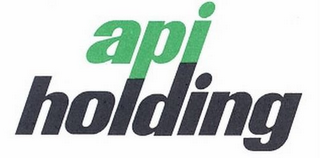 API HOLDING