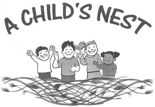 A CHILD'S NEST