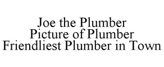 JOE THE PLUMBER PICTURE OF PLUMBER FRIENDLIEST PLUMBER IN TOWN