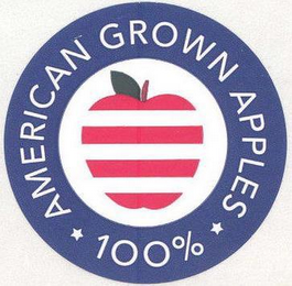 100% AMERICAN GROWN APPLES