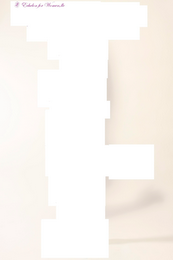 E ECHELON FOR WOMEN, LLC