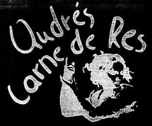 ANDRÉS CARNE DE RES