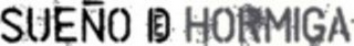 SUENO DE HORMIGA