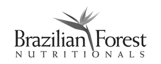 BRAZILIAN FOREST NUTRITIONALS