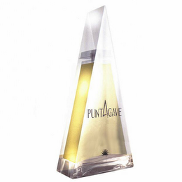 PUNTAGAVE