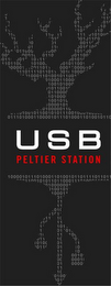 USB PELTIER STATION