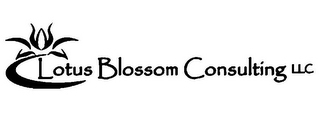 LOTUS BLOSSOM CONSULTING LLC