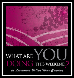 WHAT ARE YOU DOING THIS WEEKEND? IN LIVERMORE VALLEY WINE COUNTRY