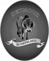 SEYMOUR SEYMOUR ITS DAMAN.COM