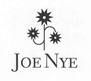 JOE NYE