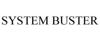 SYSTEM BUSTER
