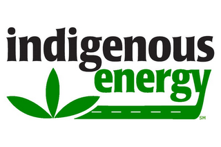 INDIGENOUS ENERGY