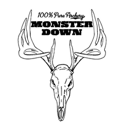 100% PURE ARCHERY MONSTER DOWN