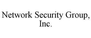 NETWORK SECURITY GROUP, INC.