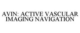 AVIN: ACTIVE VASCULAR IMAGING NAVIGATION