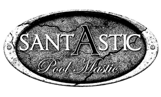 SANTASTIC POOL MASTIC