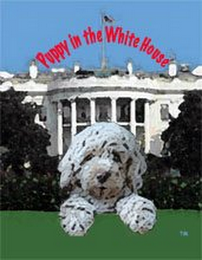 PUPPY IN THE WHITE HOUSE